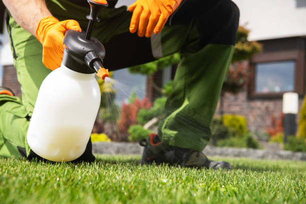 Lawn Pest Control in Eagle Point, AL